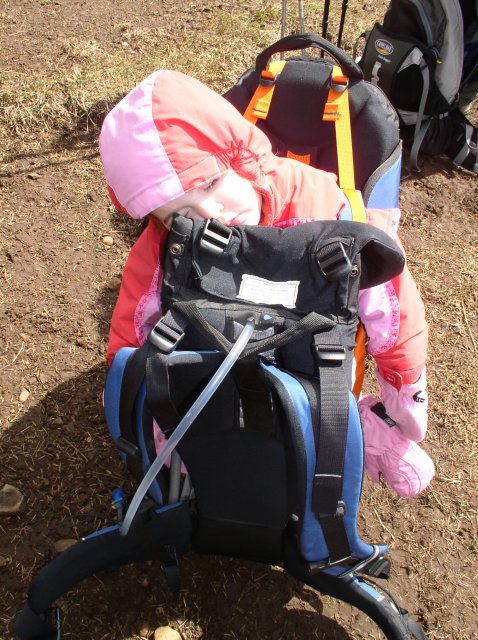 3.24.06 Dog Mountain 038 